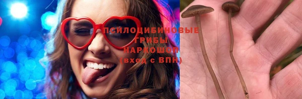 гашик Болхов