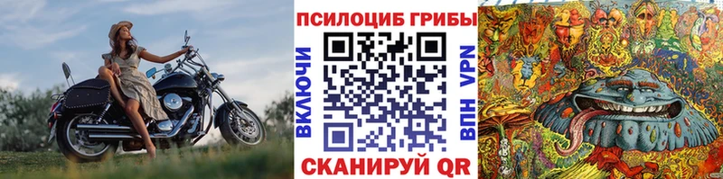 Галлюциногенные грибы MAGIC MUSHROOMS  где найти наркотики  Алзамай 